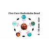 Naturally Grown Himalayan Rudraksha. 5 face108 rudraksha Bead with OM