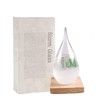Enkrio Storm Glass Weather Predictor, Barometer Bottle with Wood Base