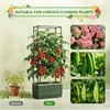 Raised Garden Bed Tomato Planter with Trellis, 52" Self Watering
