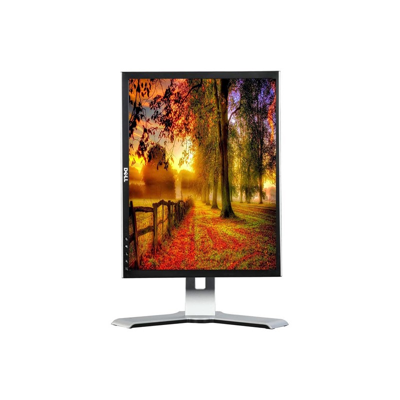 Dell P2210F Computer Desktop Tower LCD 22 Inch Monitor, VGA,