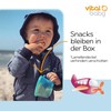 Vital Innovations 492005 Snack Box Set blue