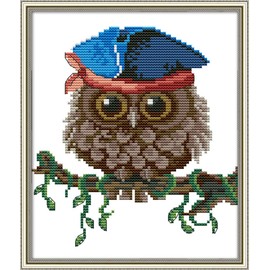 Cross Stitch Kits, Awesocrafts Owl Hat Blue Cute Bird Spring Easy Patterns Cross Stitching Embroidery Kit Supplies, Stamped or Counted (Owl 5, Counted)