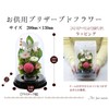 Art Four Seasons▲Offering Mom Dome Preserved Flower (Pink)