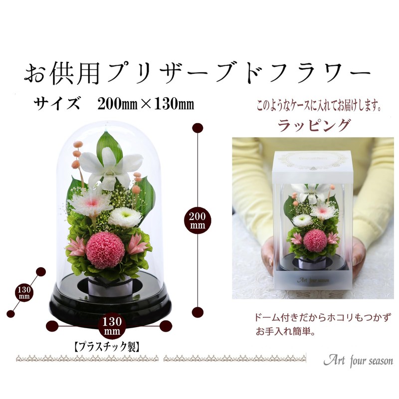 Art Four Seasons▲Offering Mom Dome Preserved Flower (Pink)