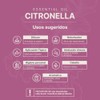 Aceite Esencial con Ingredientes Puros y Naturales, Aromalogía de 50 ml. Aceite Esencial Citronela (Citronella), B Life.