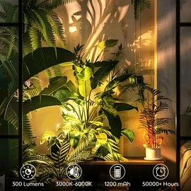 Bgmonster 4Pack Rechargeable Spot Lights Indoor, Wireless Tree Lights Indoor with Remote Control Timer＆Dimmable, 3CCT LED Up Lights Accent Light for Plant Painting Picture Display Portrait Wall Decor