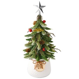 Mini Tabletop Christmas Tree, 14 Inch Artificial Small Xmas Tree with Red Berry, Pine Cone, Fake Greenery for Table Top Office Desk Classroom Room Holiday Christmas Decor(Silver Star)