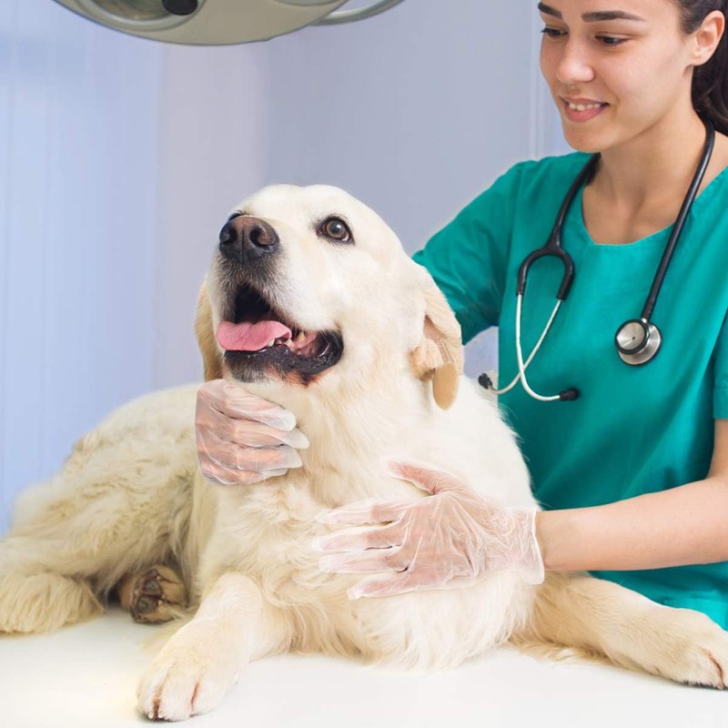 Aitsite 100Pcs Vinyl Disposable Gloves, Medium Clear Powder Free Gloves