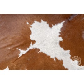 Sunshine Cowhides 100% Genuine Brown and White Cowhide Rug - Modern Style Animal Skin Rug & Floor Carpet for Living Room, Bedroom, Kitchen & More - Extra Large (6x7-8 Ft.)