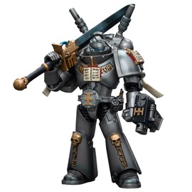 BEERISE JOYTOY 1/18 Action Figures - Warhammer 40,000 Grey Knights Interceptor Squad Interceptor with Storm Bolter and Nemesis Force Sword - 5‘’,Classic Character,Collectible,Age 15 and Above