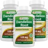 Best Naturals Best Naturals Dandelion Root 520 mg 250 Capsules