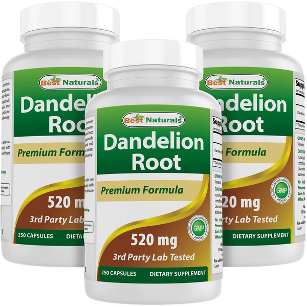 Best Naturals Best Naturals Dandelion Root 520 mg 250 Capsules
