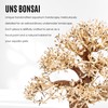 Ultum Nature Systems Bonsai - Handcrafted Hardscape Driftwood for Aquarium,