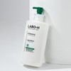 RABO H or Rabeau H 라보H 탈모완화 샴푸 700ml LaboH