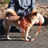 AIBPET 犬 ハーネス リード付 小型犬 柔らかい 軽量 中型犬 通気性 猫
