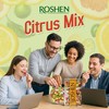Roshen Hard Candy "Citrus Mix" Kosher and Halal, Delicious, Flavorful