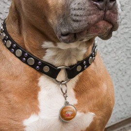 GRAPHICS & MORE If You're Happy and You Know It Clamp Your Hams Clap Hands Funny Humor Chrome Plated Metal Pet Dog Cat ID Tag