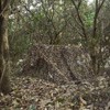 Sitong Bulk Roll Camo Netting for Hunting Military Decoration Sunshade