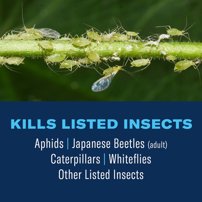 BioAdvanced Tree & Shrub Insect Killer, Outdoor Pest Control, Concentrate,