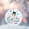 Thyle Funny Christmas Ornaments for Adults How Snowflakes are Really