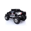 Jada Toys Hollywood Rides 1:12 R/C - WWE