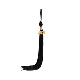 SAMDEEMI Graduation Tassel with 2024 Gold Year Charm for Graduation Ceremony, 9", Black