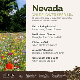 Eden Brothers Nevada Wildflower Mixed Seeds for Planting, 1 lb, 480,000+ Seeds with Yarrow, Cosmos | Attracts Pollinators, Plant in Spring or Fall, Zones