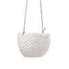 Burgon & Ball 'Dot' Hanging Pot