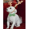 DOGWONG Hemp Cotton Dog Collar with Bow Green Pet Collar