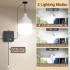Solar Shed Light Indoor Outdoor, 6500K Daytime Available Pendant Light