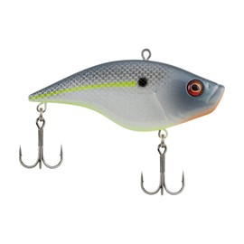 Berkley Warpig Fishing Lure, Sexier Shad, 1/4 oz, 2in | 5cm Crankbaits, Lipless Sinking Bait Features Aggressive Action with Maximum Sound and Vibration