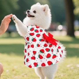 5Pcs Girl Dog Puppy Clothes, Floral Dog Dresses, Cute Puppy Summer Outfits for Female Cat Pets, 5 Styles