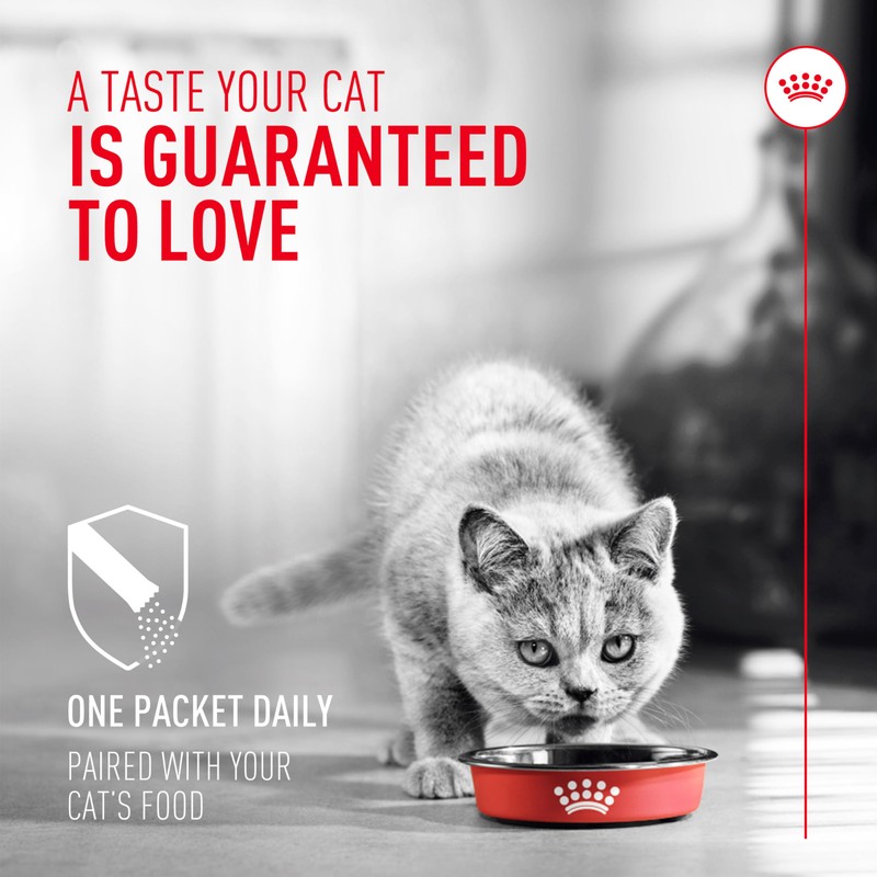 Royal Canin Probiotics for Cats Digestive and Immune Health Powder