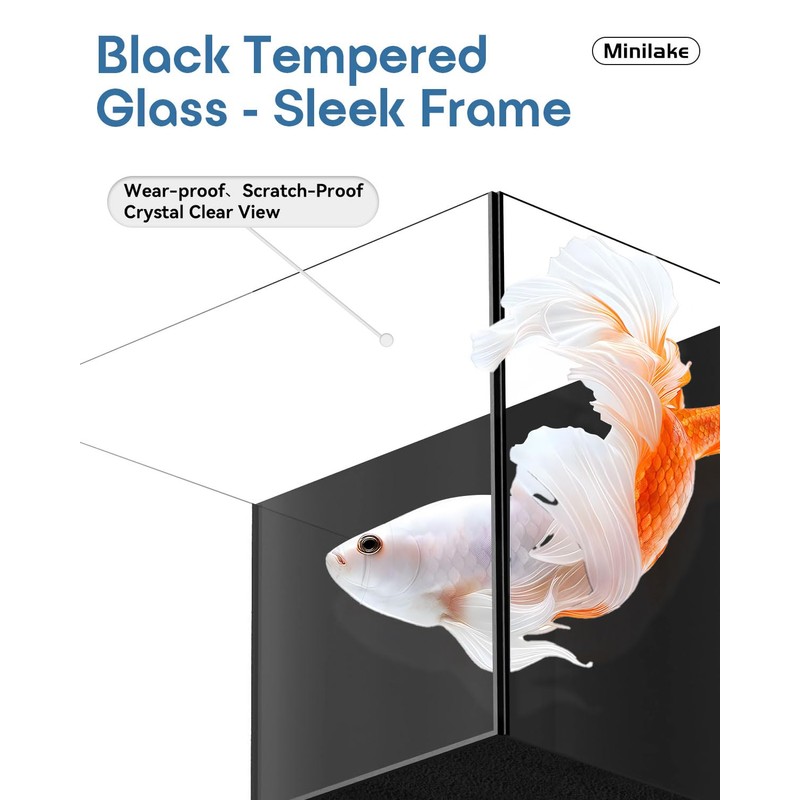 Glass Fish Tank Kit, 2.5 Gallon Betta Fish Tank Aquarium