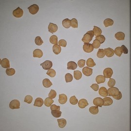 PAPAW'S GARDEN SUPPLY LLC. Helping The Next Generation Grow! Sweet Banana Heirloom Pepper Seeds, Non-GMO, 1 Pack of 25 Vegetable Seeds