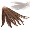 MWOOT Pack of 20 Pheasant Feathers, 25-30 cm / 10-12