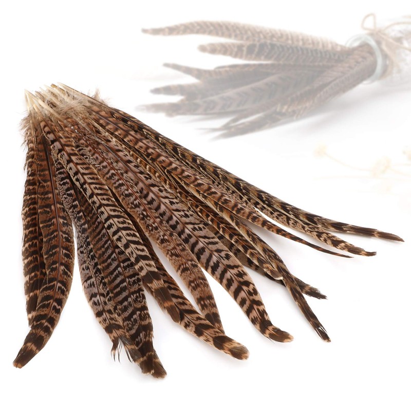 MWOOT Pack of 20 Pheasant Feathers, 25-30 cm / 10-12