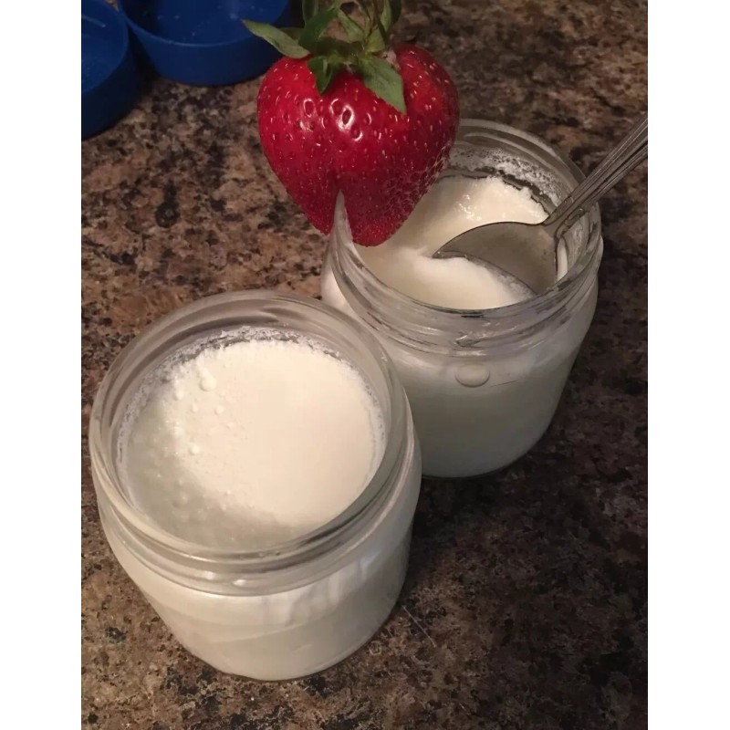 Homemade Yogurt Starter Culture Kit