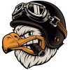 BIKERSTUFFUS AMERICAN EAGLE WITH BIKER HELMET HELMET STICKER BUMPER STICKER
