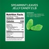 Spearmint Leaves Jelly Candy - 2 Pound Bulk Bag -