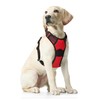 Funfox Dog Harnesses for Large Dogs, No Pull Dog Harness