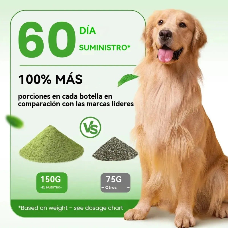 Polvo Limpiador De Dientes J Dog Powder Para Perros En
