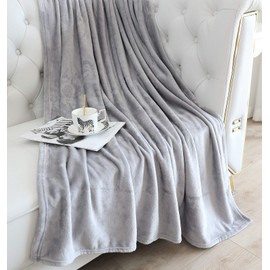 TASTHROW Large Flannel Fleece Throw Blanket, 60×80 Inch - Cozy Lightweight Thick Blanket - All Seasons Suitable for Women, Men and Kids (Light Grey)