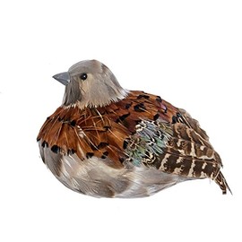 Worth Imports Feathered Partridge, Brown, Gray