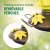 Perky-Pet 9110-2 Pineapple Top-Fill Glass Hummingbird Feeder – 28 oz