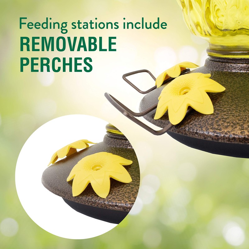 Perky-Pet 9110-2 Pineapple Top-Fill Glass Hummingbird Feeder – 28 oz
