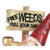 Mr Gnome Grandpa Smoking Pipe By Toadstool Mushrooms And Free