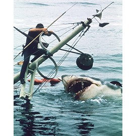 Jaws 24X36 Classic Hollywood Poster Roy Scheider And Shark