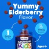 Gummy Master Variation Para Niños, 90 Unidades
