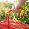 SEWOART Mini Fruit Basket with Lid 8.46X5.70X3.14In Plastic Berry Picking